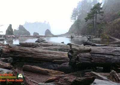 Ruby Beach Washington