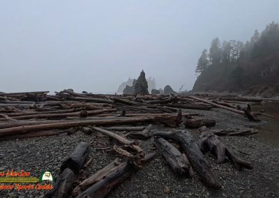 Ruby Beach Washington
