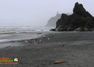 Ruby Beach Washington