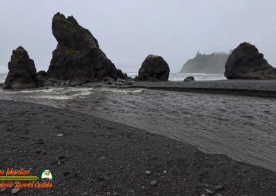 Ruby Beach Washington
