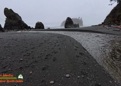 Ruby Beach Washington