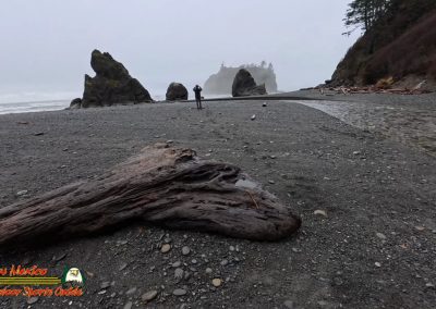 Ruby Beach Washington
