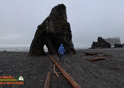 Ruby Beach Washington Paulette