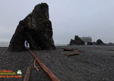 Ruby Beach Washington Paulette