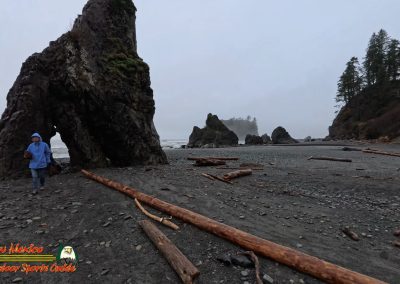 Ruby Beach Washington Paulette
