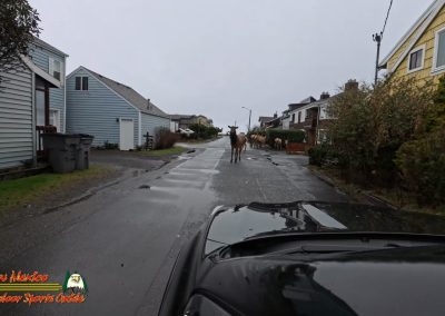 Cannon Beach Oregon 2024 Pocket 3