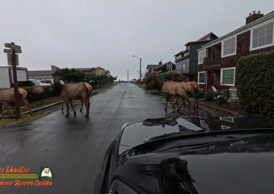 Cannon Beach Oregon 2024 Pocket 3