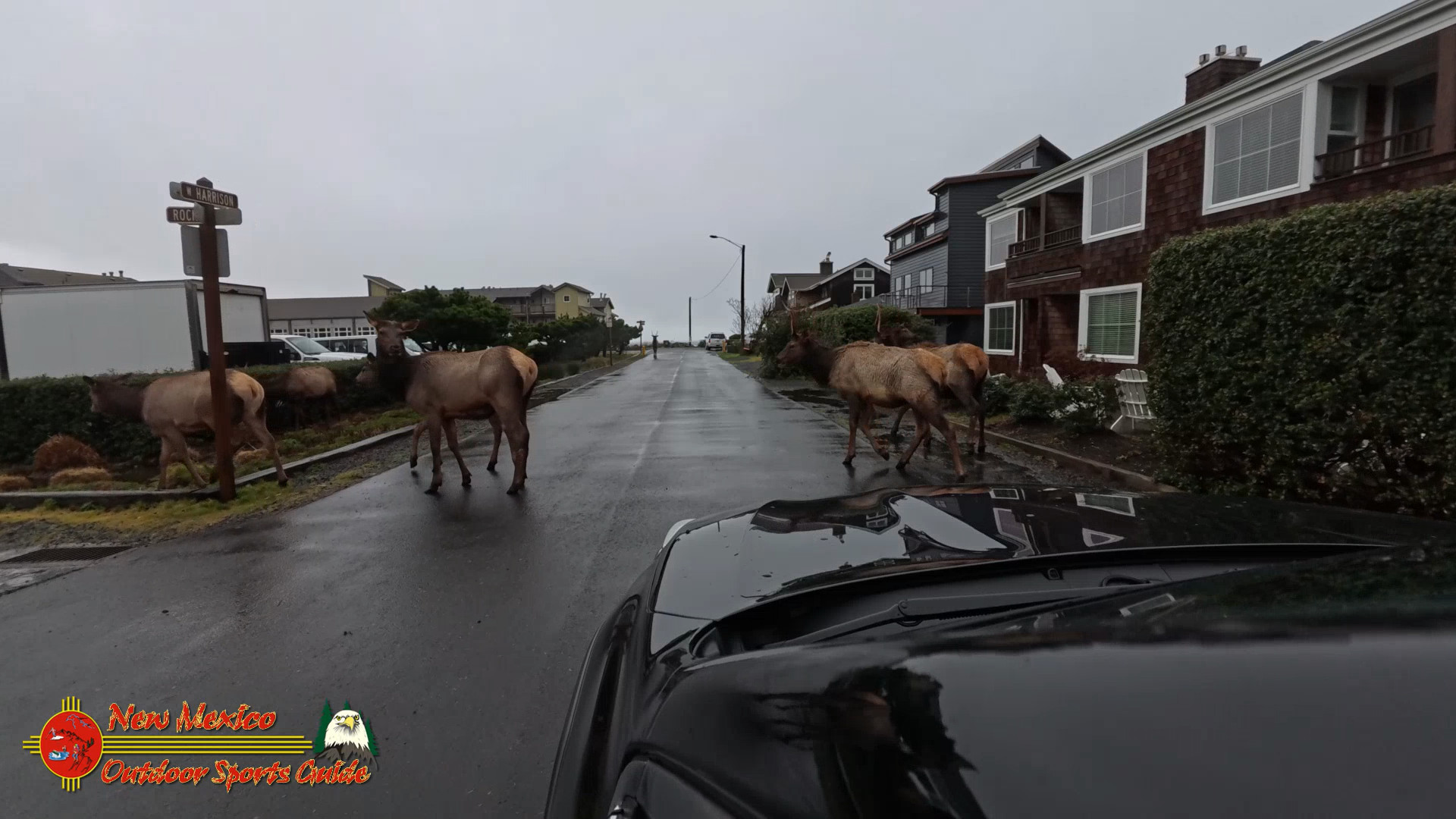 Cannon Beach Oregon 2024 Pocket 3