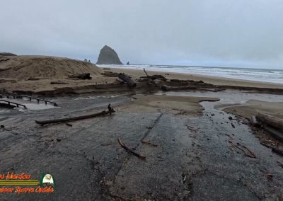 Cannon Beach Oregon 2024 Pocket 3
