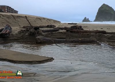 Cannon Beach Oregon 2024 Pocket 3