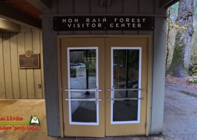 HOH Rain Forest Hall of Mosses Trail Forks WA Insta360 Ace Pro 0-22-2024