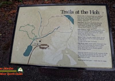 HOH Rain Forest Hall of Mosses Trail Forks WA Insta360 Ace Pro 0-22-2024