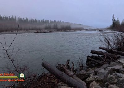 HOH Rain Forest Hall of Mosses Trail Forks WA Insta360 Ace Pro 01 22 2024