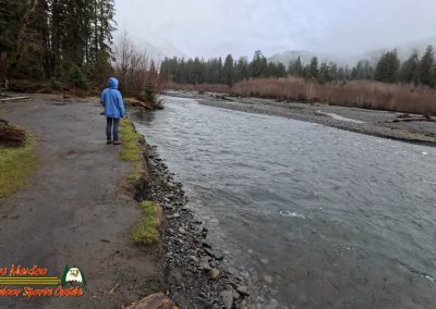 Hoh Rain Forest Spruce Nature Trail Insta360 Ace Pro 01-23-2024