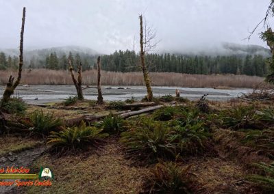 Hoh Rain Forest Spruce Nature Trail Insta360 Ace Pro 01-23-2024