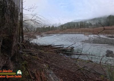 Hoh Rain Forest Spruce Nature Trail Insta360 Ace Pro 01-23-2024