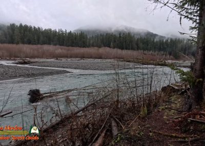 Hoh Rain Forest Spruce Nature Trail Insta360 Ace Pro 01-23-2024