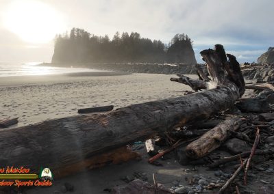 Pacific Coast James Island Quillayute River La Push, Washington January 23 2024 Pocket 3