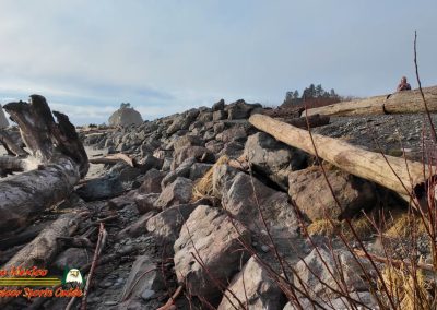 Pacific Coast James Island Quillayute River La Push, Washington January 23 2024 Pocket 3