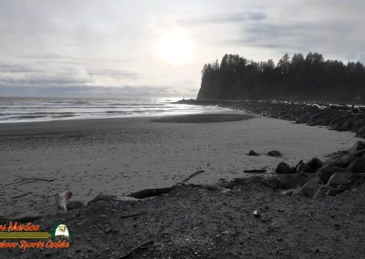 Pacific Coast James Island Quillayute River La Push, Washington January 23 2024 Pocket 3