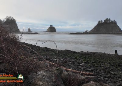 Pacific Coast James Island Quillayute River La Push, Washington January 23 2024 Pocket 3