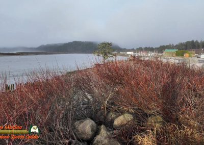 Pacific Coast James Island Quillayute River La Push, Washington January 23 2024 Pocket 3