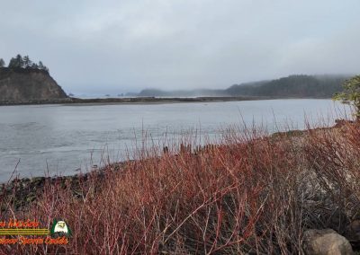 Pacific Coast James Island Quillayute River La Push, Washington January 23 2024 Pocket 3