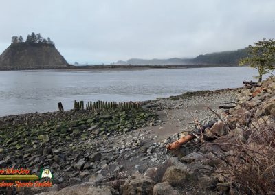 Pacific Coast James Island Quillayute River La Push, Washington January 23 2024 Pocket 3
