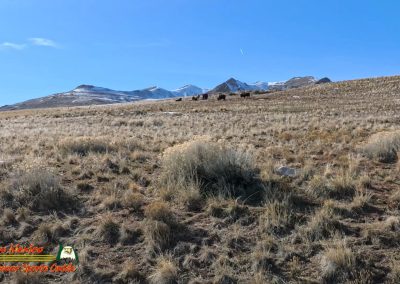 Antelope Island State Park Great Salt Lake UT Pocket 3 01-26-2024