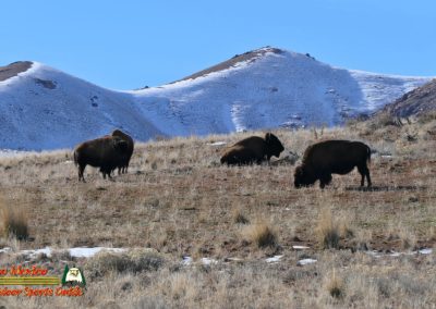 Antelope Island State Park Great Salt Lake UT Pocket 3 01-26-2024