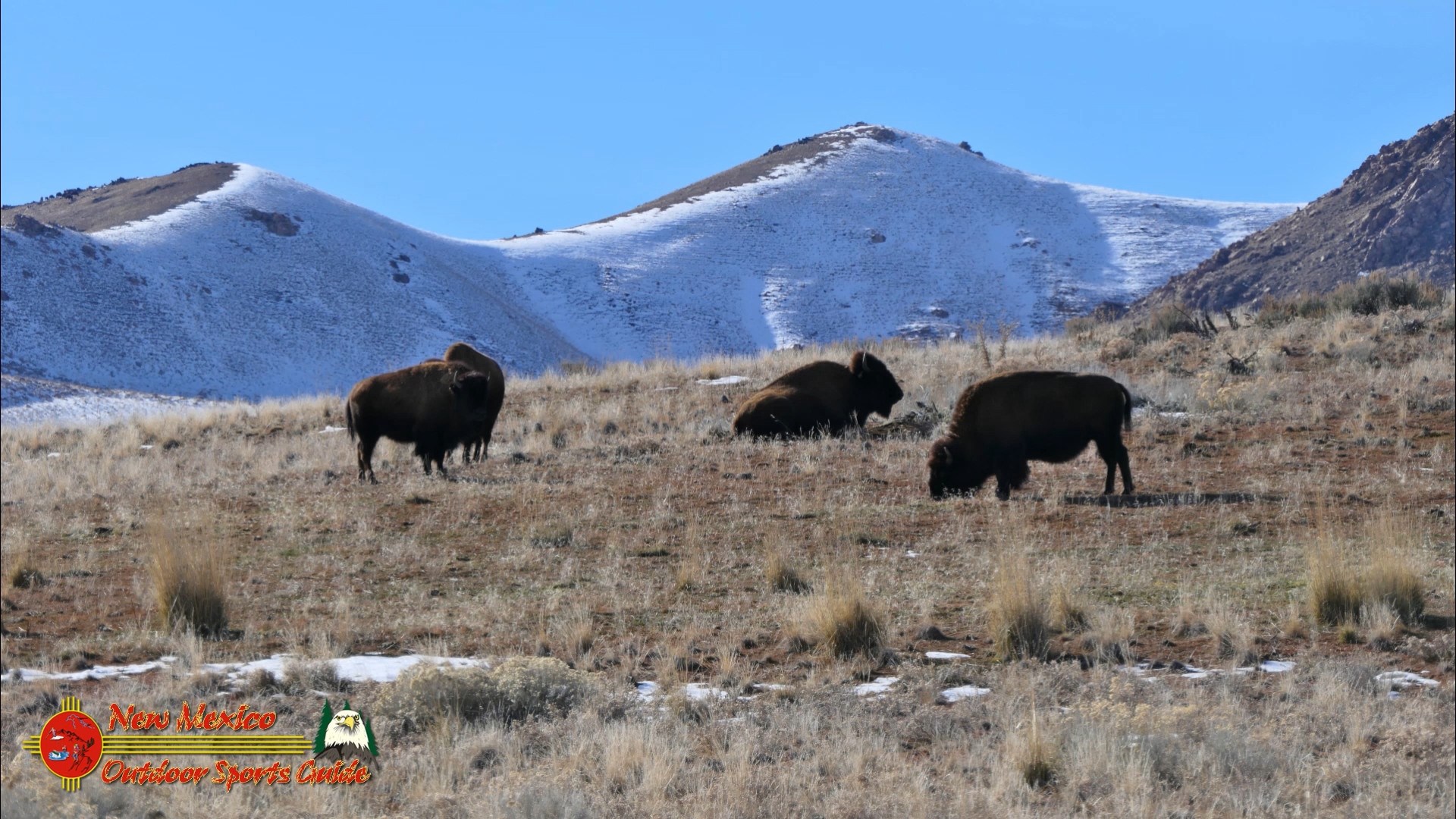Antelope Island State Park Great Salt Lake UT Pocket 3 01-26-2024