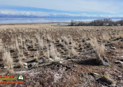 Antelope Island State Park Great Salt Lake UT Pocket 3 01-26-2024