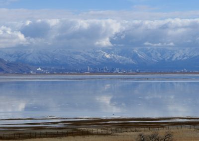Salt Lake City Antelope Island State Park, Great Salt Lake FZ2500