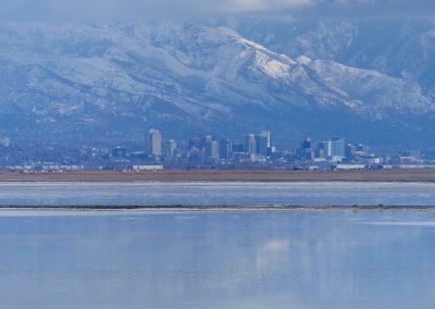 Salt Lake City Antelope Island State Park, Great Salt Lake FZ2500