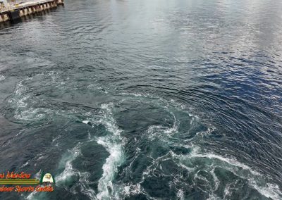 Departure Norwegian Encore Alaska Cruise July 2024 Pocket 3