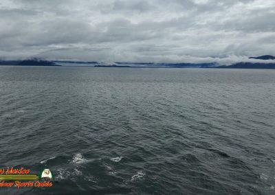 Juneau Alaska Norwegian Encore Alexander Archipelago Tongass National Forest Pocket 3 Float Plane Insta360 Ace Pro