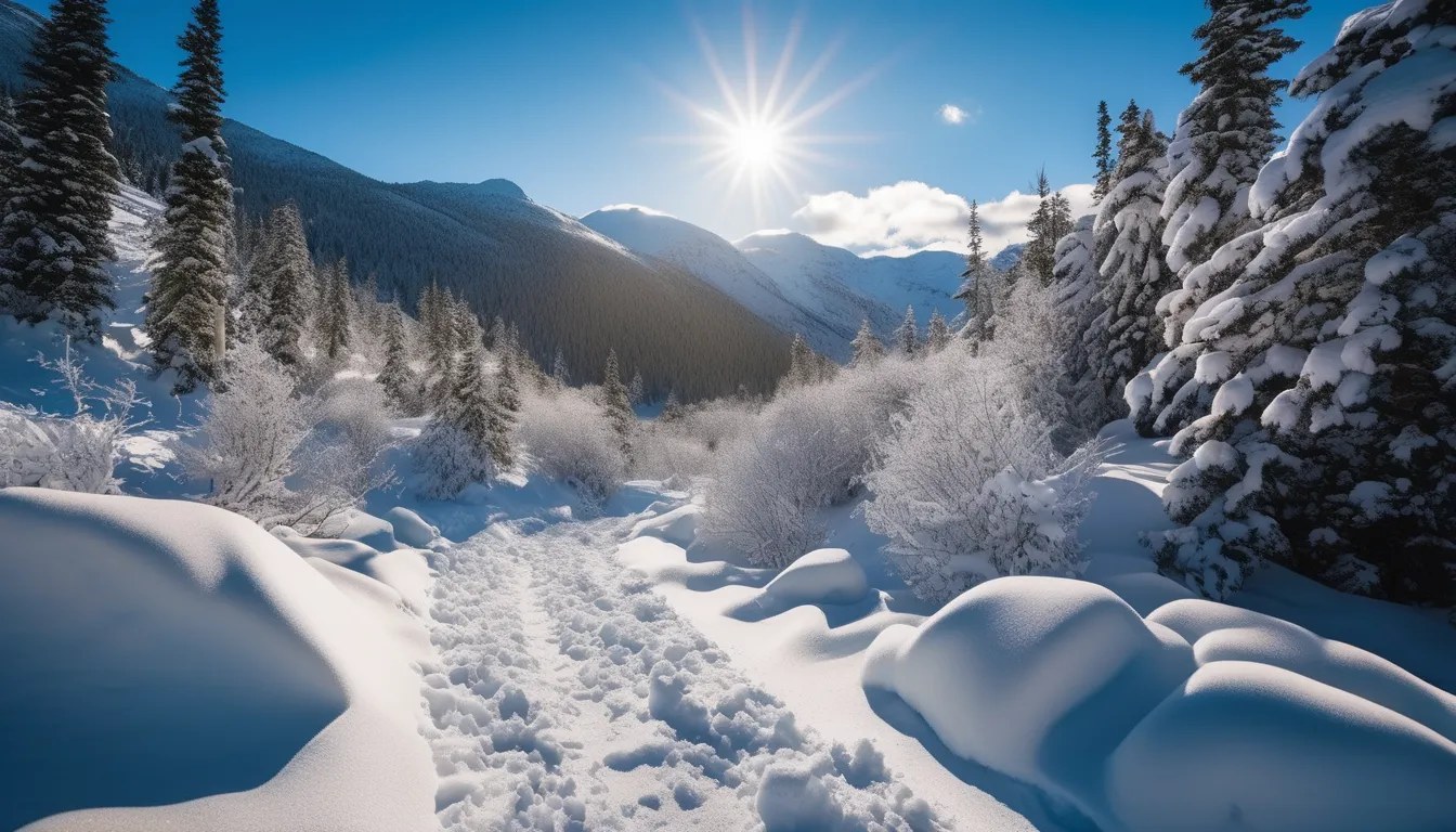 White Pass Trail Skagway Alaska