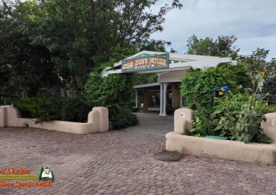 Taos Plaza Live 08-01-2024 Pocket 3