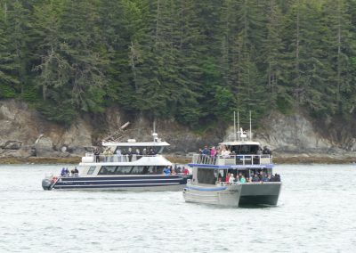 Whale Watching Tour Juneau Alaska July 2 2024 FZ2500