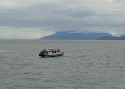 Whale Watching Tour Juneau Alaska July 2 2024 FZ2500