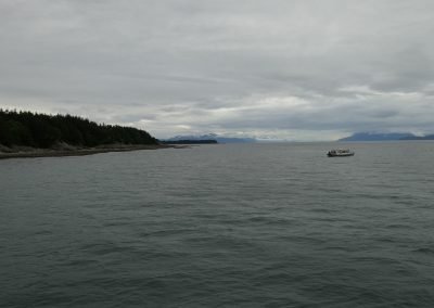 Whale Watching Tour Juneau Alaska July 2 2024 FZ2500