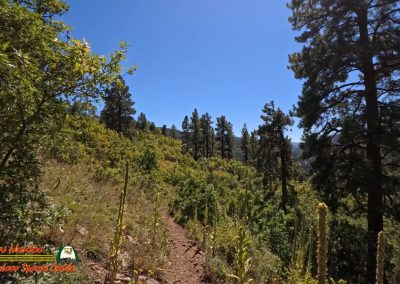 Hiking Hamilton Mesa Trail #249 with Paulette Insta360 Ace Pro