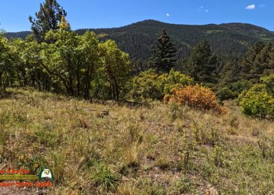 Hiking Hamilton Mesa Trail #249 with Paulette Insta360 Ace Pro