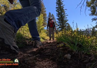 Hiking Hamilton Mesa Trail #249 with Paulette Insta360 Ace Pro
