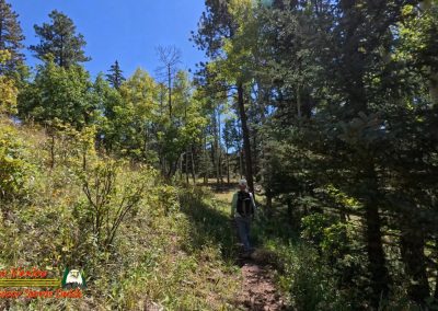 Hiking Hamilton Mesa Trail #249 with Paulette Insta360 Ace Pro