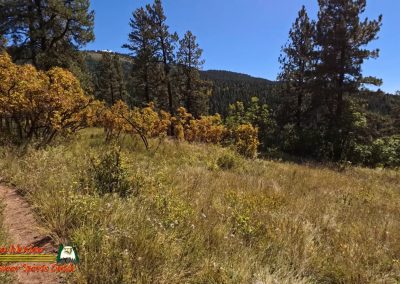 Hiking Hamilton Mesa Trail #249 with Paulette Insta360 Ace Pro