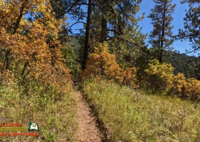 Hiking Hamilton Mesa Trail #249 with Paulette Insta360 Ace Pro