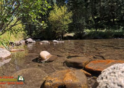 Hiking Hamilton Mesa Trail #249 with Paulette Insta360 Ace Pro
