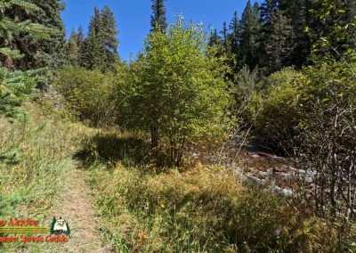 Hiking Hamilton Mesa Trail #249 with Paulette Insta360 Ace Pro