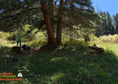 Hiking Hamilton Mesa Trail #249 with Paulette Insta360 Ace Pro